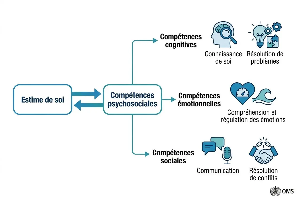 Diagramme montrant l’estime de soi reliée aux compétences psychosociales, avec jusqu’à trois branches: compétences cognitives (connaissance de soi, résolution de problèmes), compétences émotionnelles (compréhension et régulation des émotions) et compétences sociales (communication, résolution de conflits). OMS. Définition estime de soi OMS et compétences psychosociales en santé.